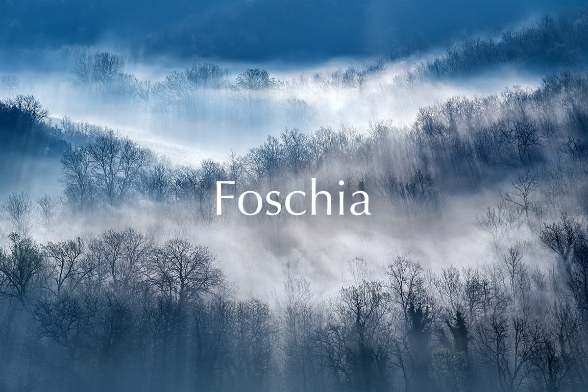 Foschia