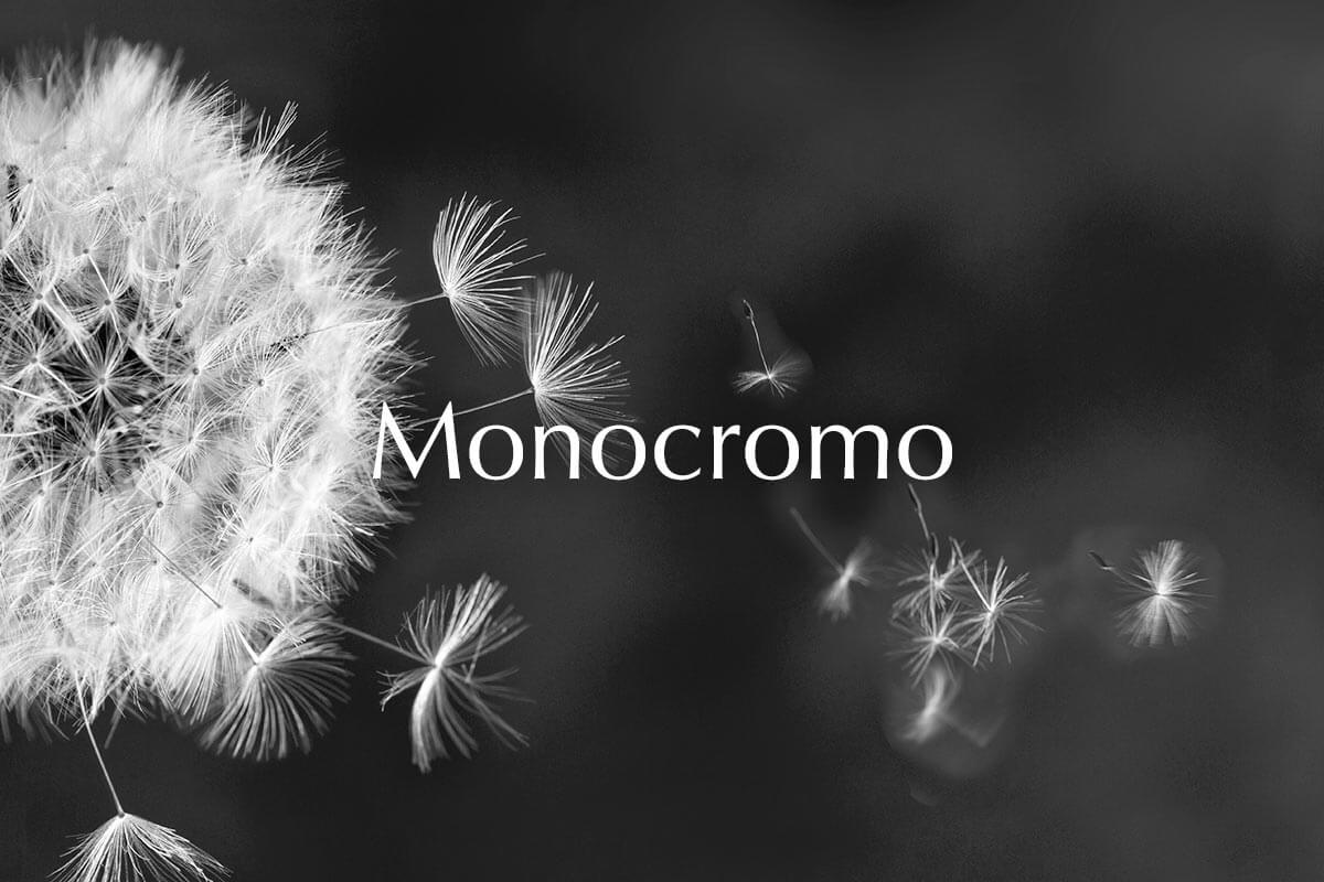 Monocromo